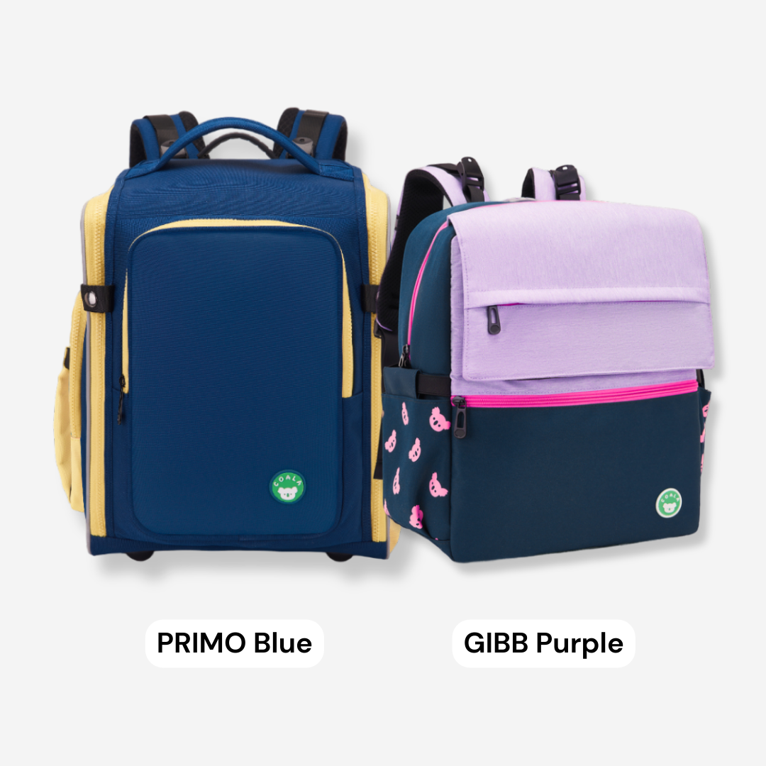 🌟 PRIMO & GIBB Package